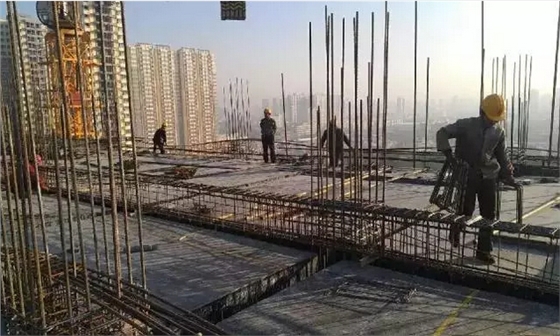 0815-2.jpg 0815-2.jpg