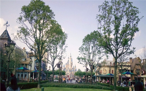 米奇大街 米奇大街