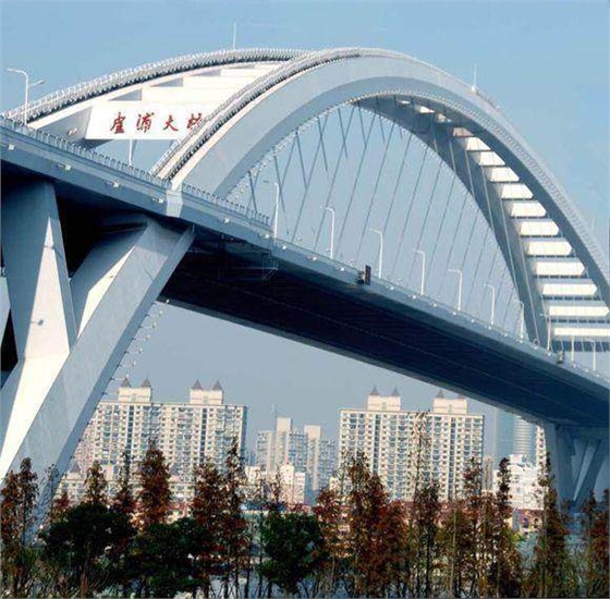 上海卢浦大桥 上海卢浦大桥