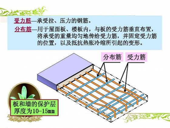 10分钟快速读懂钢筋配筋图