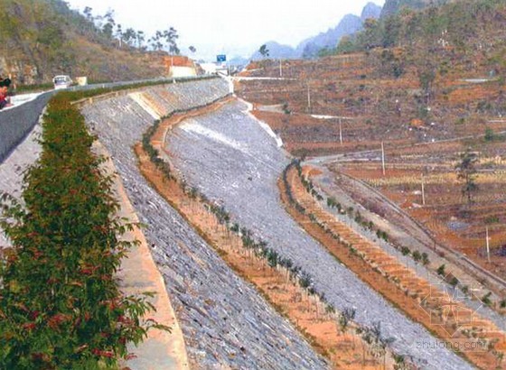 高路堤边坡加固治理措施