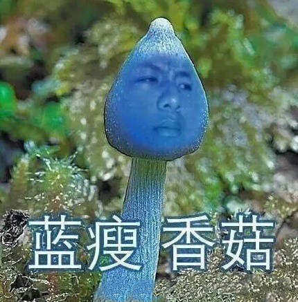 蓝瘦、香菇