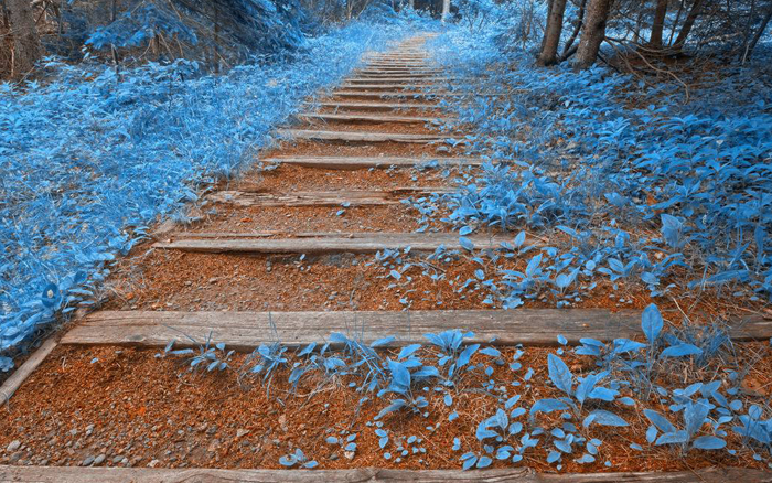 行走山一程，水一程