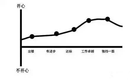 高级项目经理