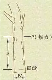 伐木的学问