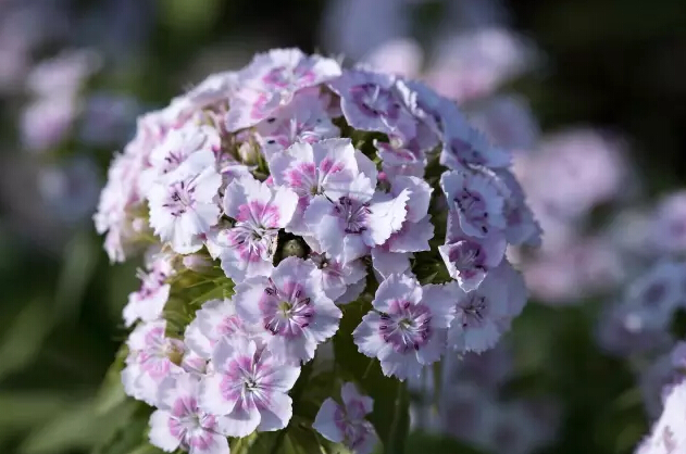 教师节—有一种情怀叫感恩